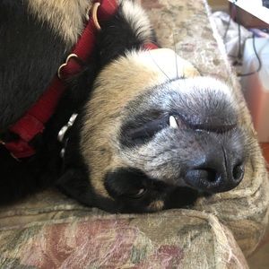 Meet your Posher, Mary